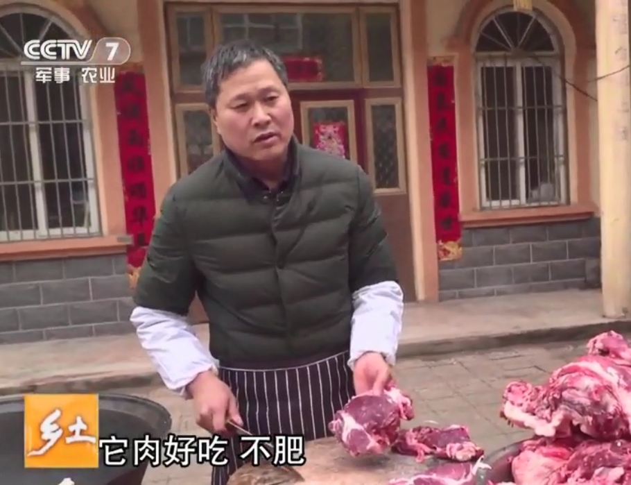 CCTV7 播出视频